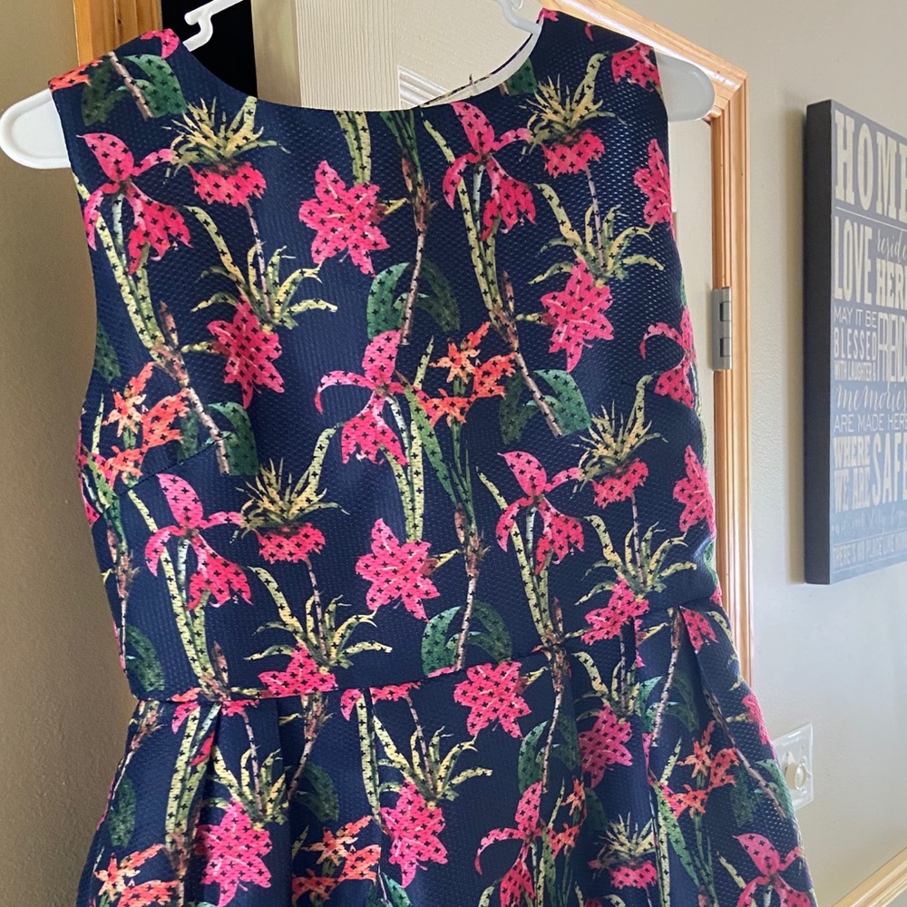 Pink Martini flowered dress